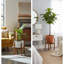 Plant Stand