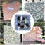 Arrangement-716305205