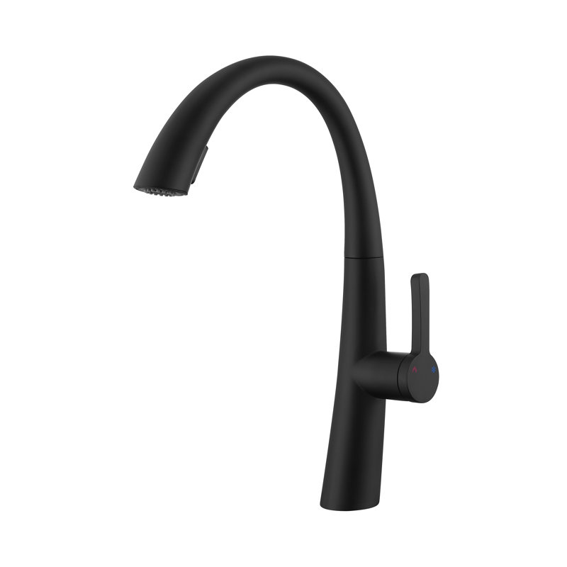 Robinet de cuisine rétractable CERYPSA, Mat