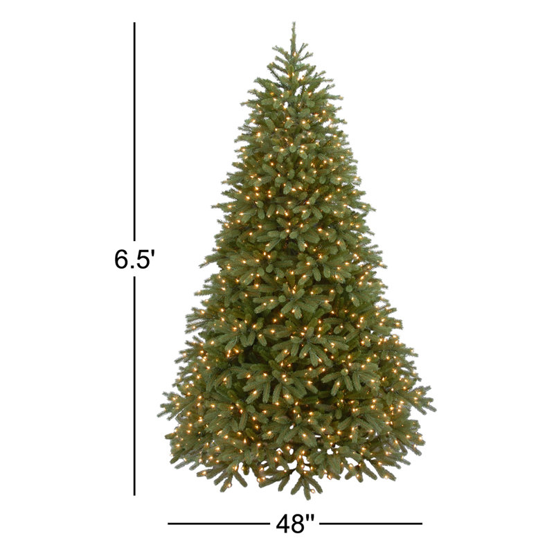 Sapin Jersey Fraser de taille moyenne avec lumières à DEL bicolores, 6,5 pi