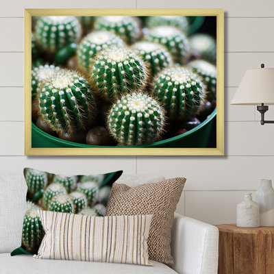 «Green Beige Cactus Desert Jewels Mammillaria I», reproduction sur toile