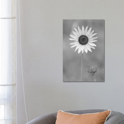 Dynamic Daisy by Louis Ruth - Wrapped Canvas Print