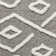 Himesh Performance Geometric Indoor Rug