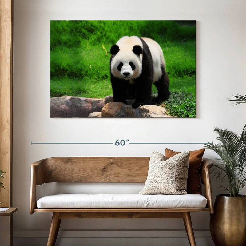 Panda se promenant, H 32 po x l 48 po