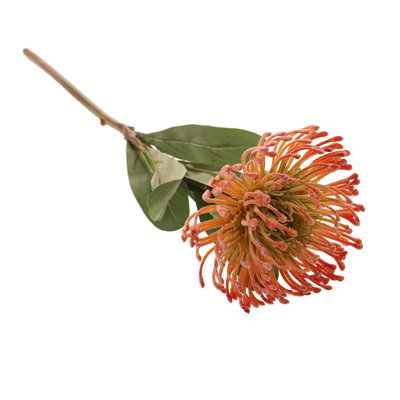 Banksia Arrangement