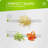 Börner Rosti Hash Brown Series, Green