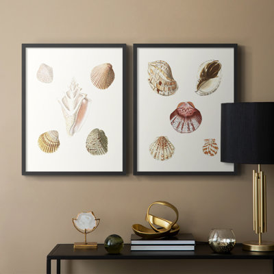 «Pastel Knorr Shells», reproduction encadrée de qualité supérieure - prête à être accrochée - aucun clou requis - aucun clou requis