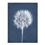 Puffy Seed III Print by Chris Dunker-26727404-26727400