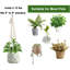 Ensemble de support à plante 5 pièces Chyvonne