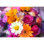 Panneau floral