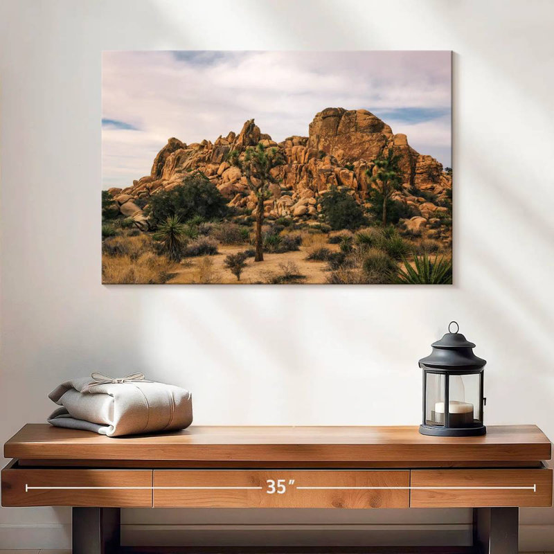 Nicci Joshua Tree, scène de désert