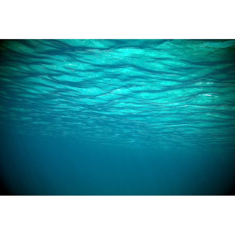 Ocean View - Wrapped Canvas Print, 30cm H x 46cm W x 3.8cm D