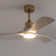Iarlaith 48'' Ceiling Fan with LED Lights