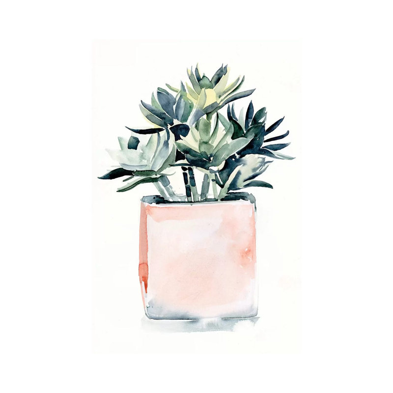 Potted Succulent IV 1 Piece Wrapped Canvas Wall Art, 101.6 cm H x 66.04 cm W