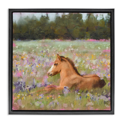 Foal Horse Lounging Flower Meadow