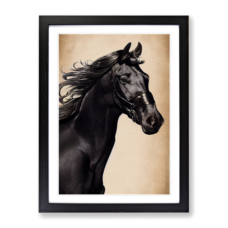 Beautiful Horse - Single Picture Frame Print, Black Framed, 64cm H x 46cm W x 2cm D