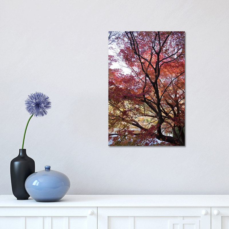 Fall Foliage At Ryoan-Ji Temple, Kyoti Prefecture, Japan - Wrapped Canvas Print, 30.48 cm H x 45.72 cm W