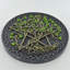 Traditional Plants & Flowers Wall Decor on Ceramic / Porcelain