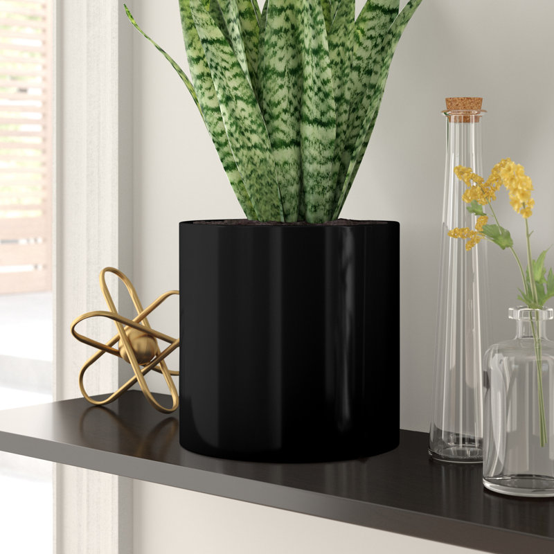 Pot à fleur en céramique Alida, H 8 po x l 8 po x p 8 po, Noir