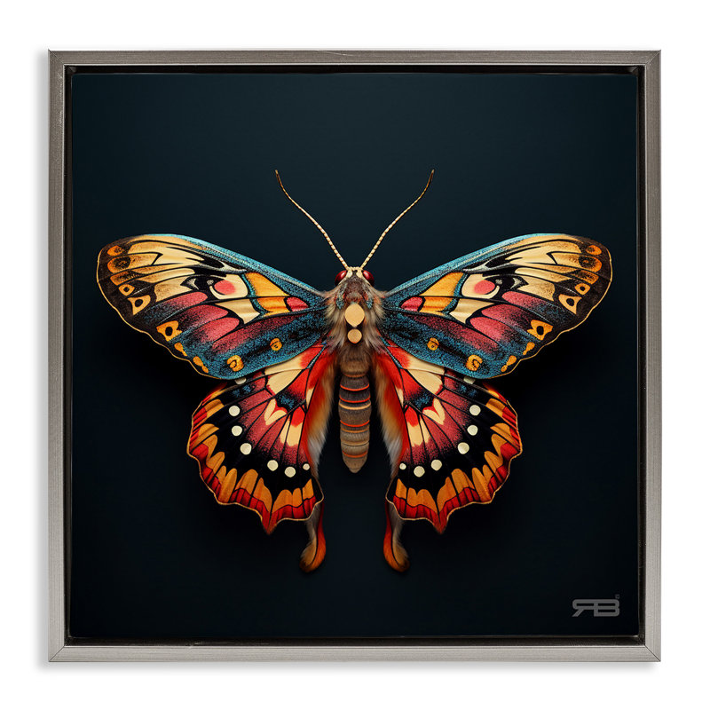 Art mural sur toile à motif de papillon de nuit Vivid par Roozbeh Bahramali, Gris, H 25 po x l 25 po