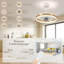 Ceiling Fan with LED Lights