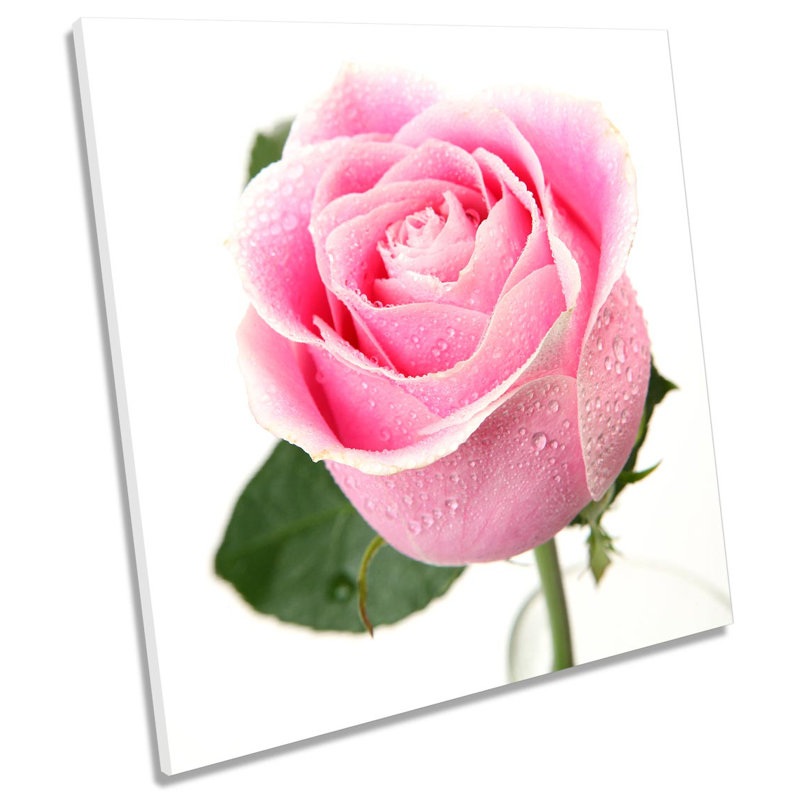Z1543 Rose Floral Flower - Wrapped Canvas Print, 40.6cm H x 40.6cm W x 2cm D