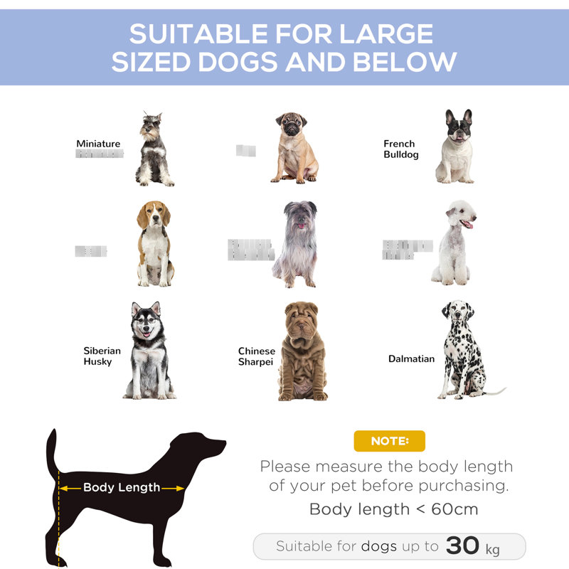 36"x30" Blue Elevated Pet Bed With Mesh - Ensures Everyday Immune System Support Dog Cot Breathable Mesh, 36"x30", Meets Comfort Demands