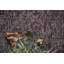Tapis décoratif Elemental - imprimé géométrique vieilli bourgogne-695088767