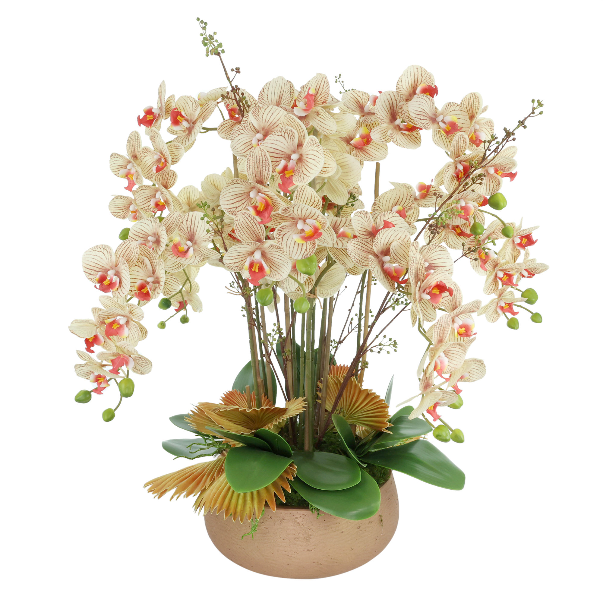 Primrue Orchid Arrangement in a Fiberstone Pot | Wayfair