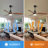 Nicola 52'' 3 - Blade Modern Ceiling Fan with Remote Control and Light Kit-1194857035