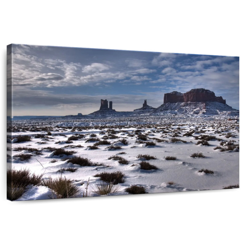 Nicci Winter In Arizona, 34" H x 51" W