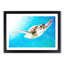Green Turtle - Picture Frame Graphic Art Print-56713459-56713453