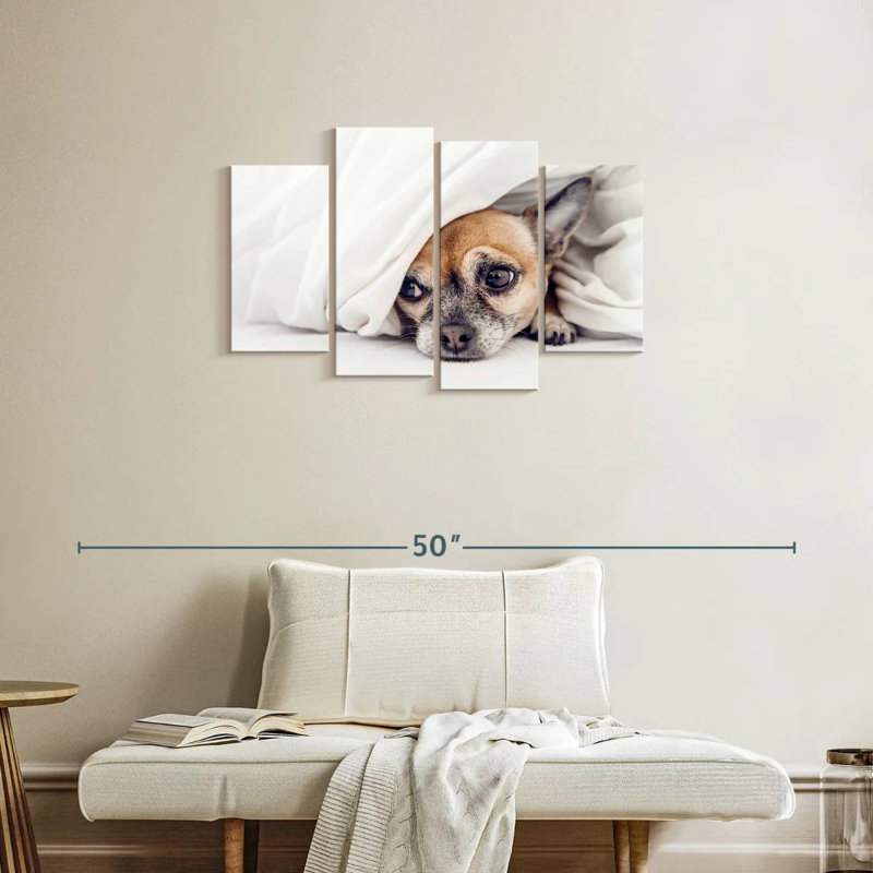 Chihuahua découragé, H 22 po x l 36 po