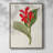 FloraOfTheTropicsIV Framed Print - Solid Wood-1566531589