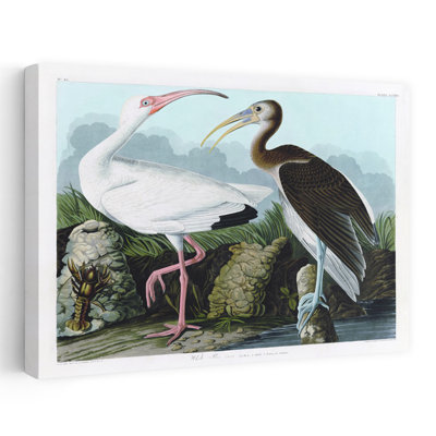 Oiseau blanc, art tropical côtier