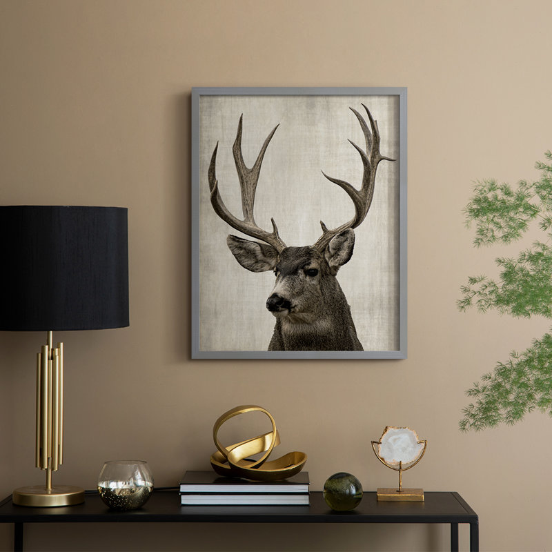 Impression encadrée Colorado Buck - bois massif, H 11 po x l 9 po, Gris