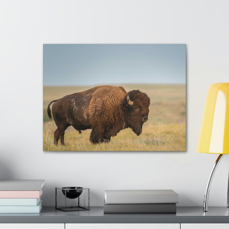 No Frame Print on Canvas, 30.48cm H x 40.64cm W