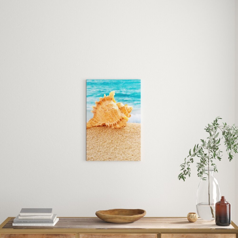 Leinwandbild Muschel am Strand, Fotodruck