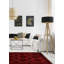 Tapis décoratif en laine de conception unique noué à la main new age esari turkman rouge 3 pi 5 po x 5 pi 4 po