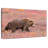 Brampt Alaskan Meadow Grizzly Bear
