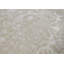 Oriental Area Rug in Beige