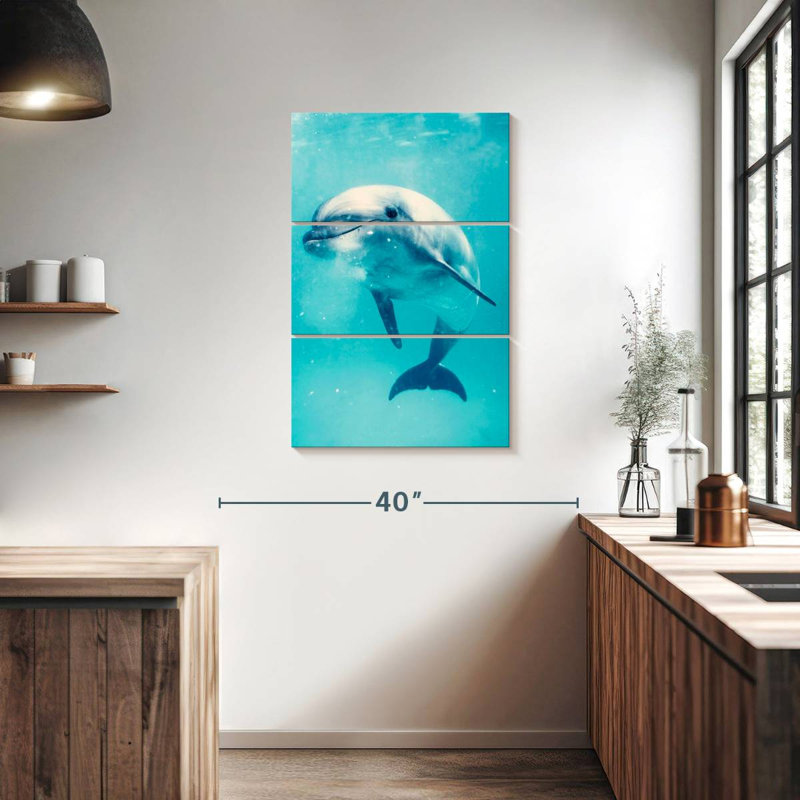 Brampt Bottlenose Dolphin Underwater, 38'' H x 24'' W