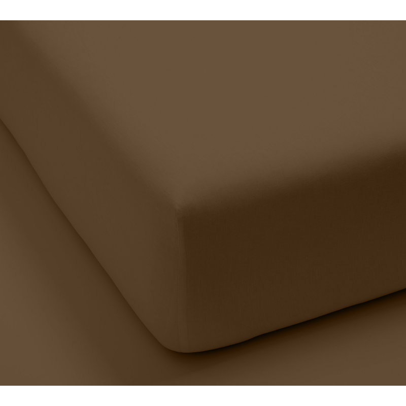 Monte Carlo Egyptian Cotton Sheet Set, Chocolate, Twin