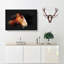 Brown Shire Horse - Wrapped Canvas-56641337