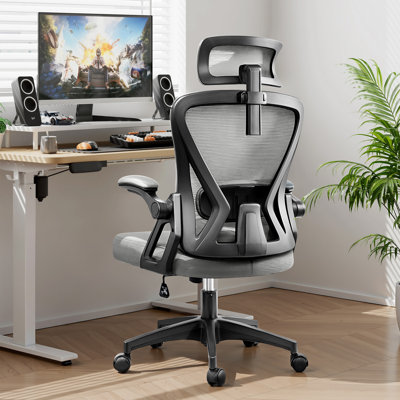 Ergonomic Mesh Office Chair with 3D Adjustable Headrest, Flip-Up Arms, Lumbar Support & Reclining Back