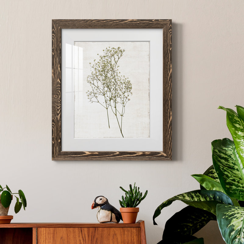 Farmhouse Pressed Flower I - peinture encadrée, H 20 po x l 17 po x P 1,5 po, Encadré de bois de noyer