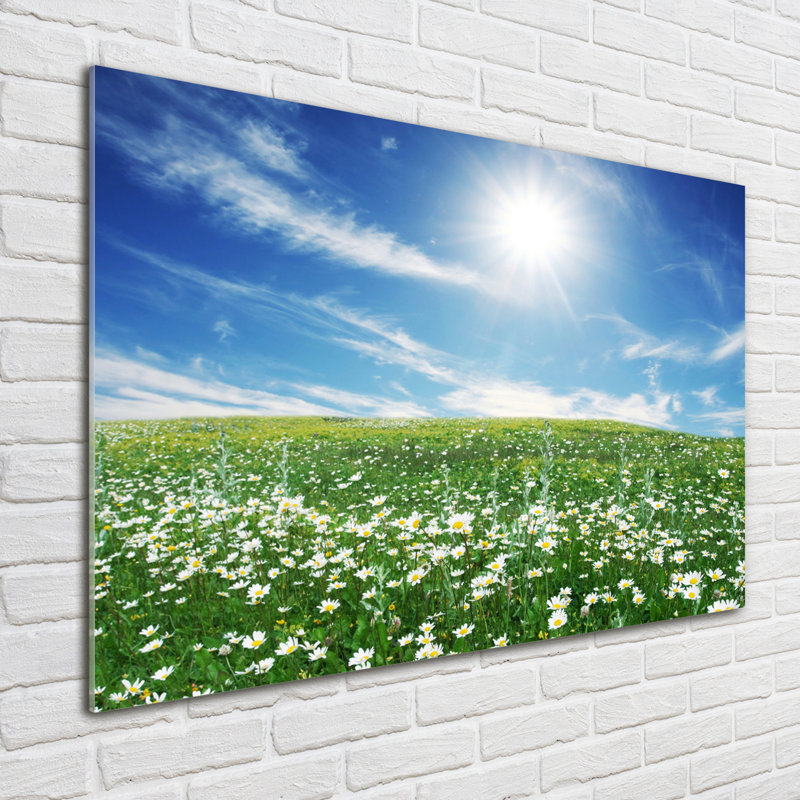 Meadow - No Frame Print on Glass