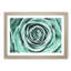 Mint Green Rose - Picture Frame Graphic Art Print-56859732-56859731