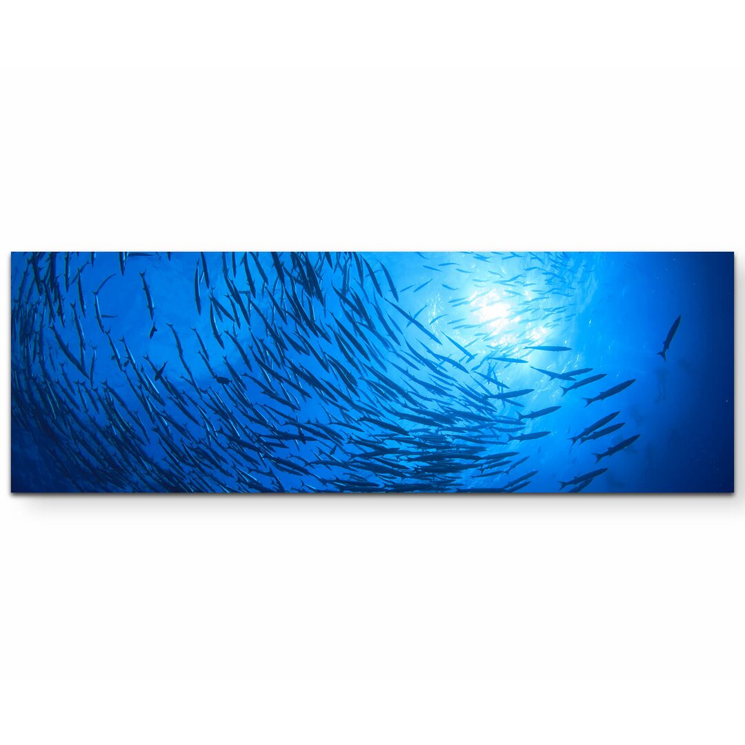 Leinwandbild Barracuda Fische