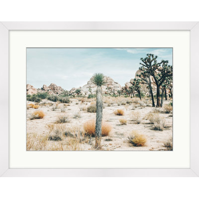 View Of Joshua Tree Print